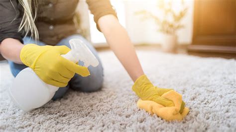 cleaning mud Height|How to Get Rid of Mud on Carpet and Upholstery So They Look .